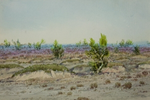 Dovdondorj.G